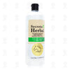 ARBOL VERDE - ACONDICIONADOR SECRETO HERBAL COLA DE CABALLO Y JALEA REAL 1L