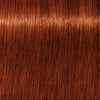 SCHWARZKOPF- TINTE IGORA
