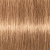 SCHWARZKOPF- TINTE IGORA