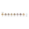 Alfaparf - Evolution of the color Tintes